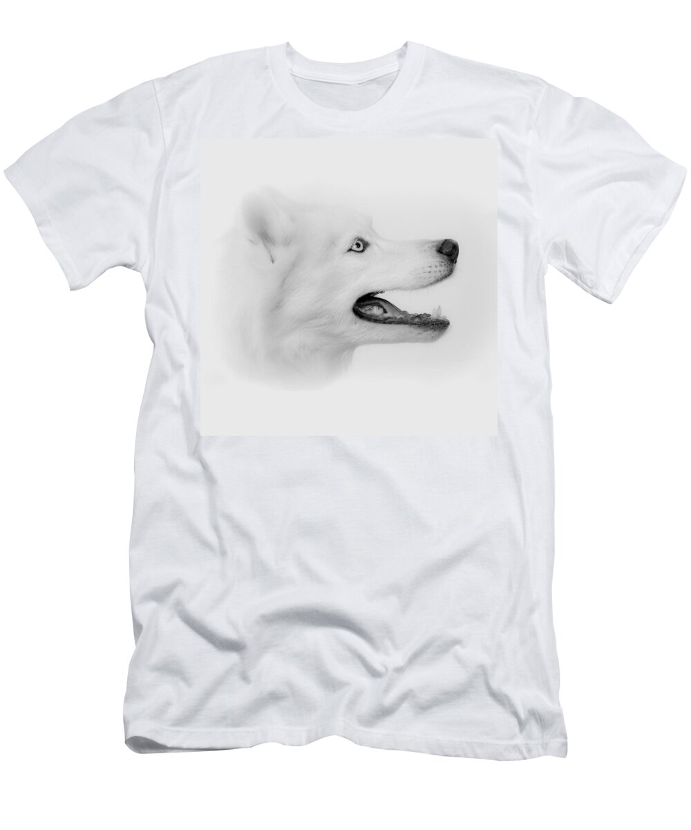 Siberian Husky T-Shirt featuring the photograph Pure by Betty Depee