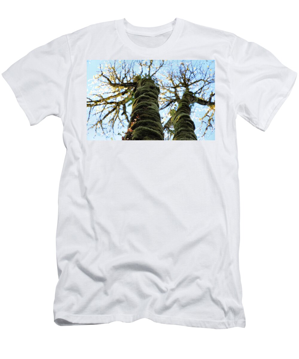 Trees T-Shirt featuring the photograph Reaching Towards Heaven by Rory Siegel