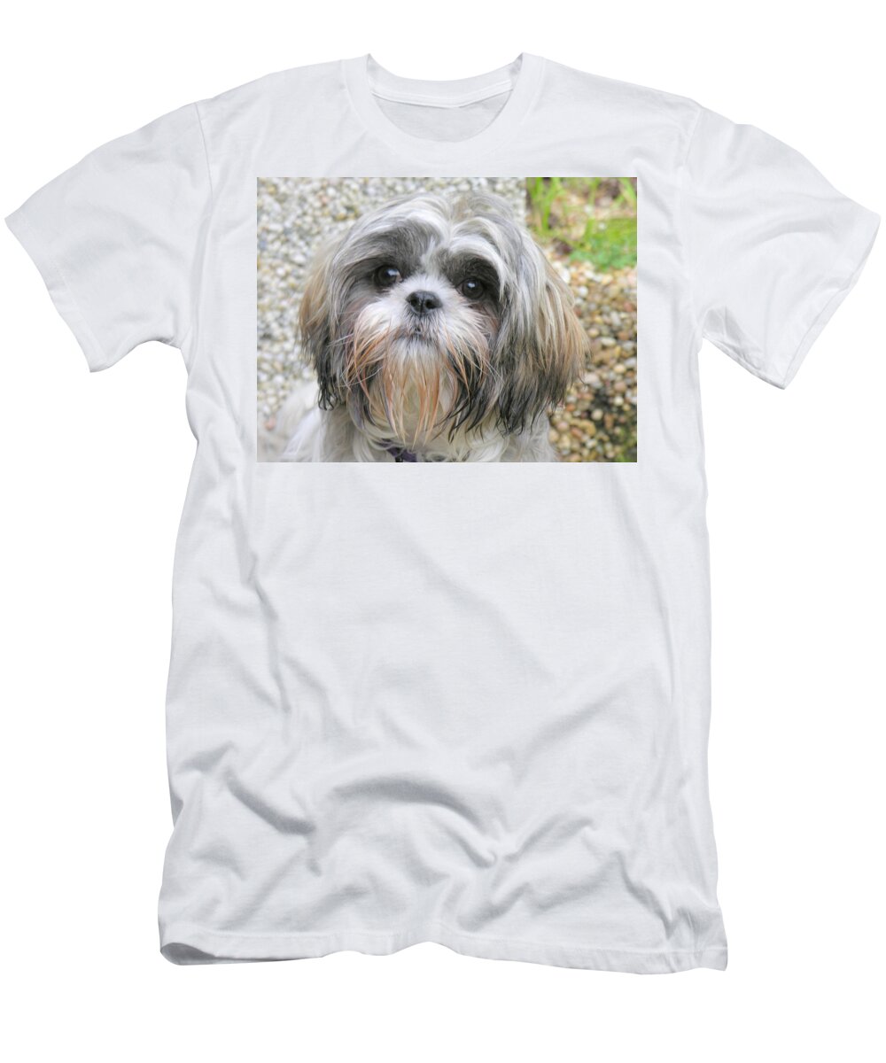 Animal T-Shirt featuring the photograph Ready by Nick David
