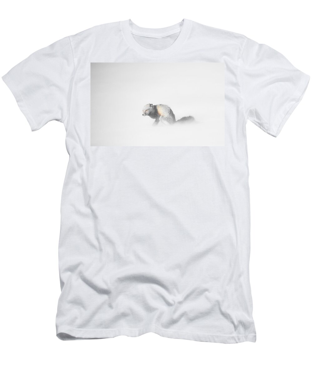 Yellowstone T-Shirt featuring the photograph Red Fox in Winter Storm by Bill Cubitt