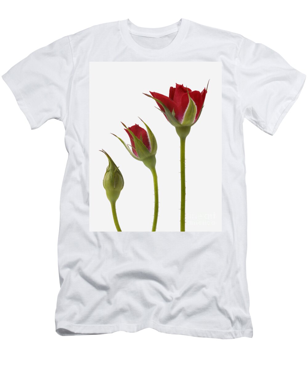 Red Rose Flower T-Shirt featuring the photograph Red Rose Flower Opening Sequence by Mark Bowler