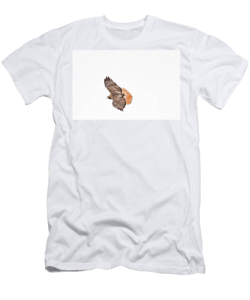 Flight T-Shirt featuring the photograph Red Tailed Hawk by Cheryl Baxter