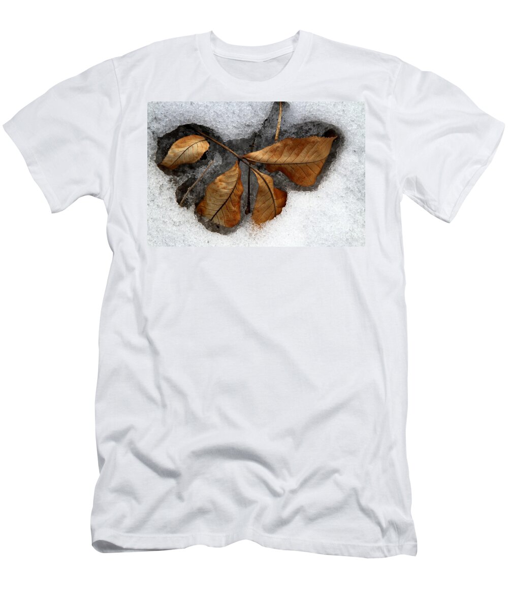 Snow T-Shirt featuring the photograph Release Me by Rick Rauzi