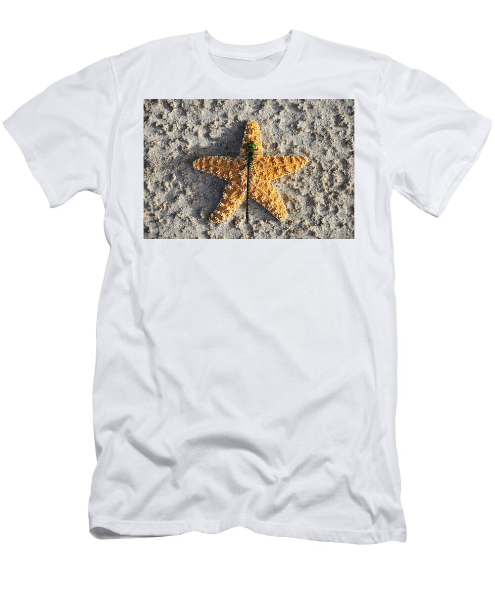 Dragonfly On Sea Star T-Shirt featuring the photograph Resting Regal by Al Powell Photography USA
