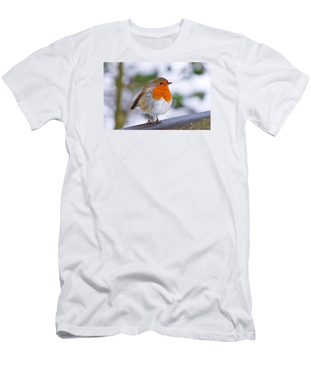 Robin T-Shirt featuring the photograph Robin Redbreast by Scott Carruthers