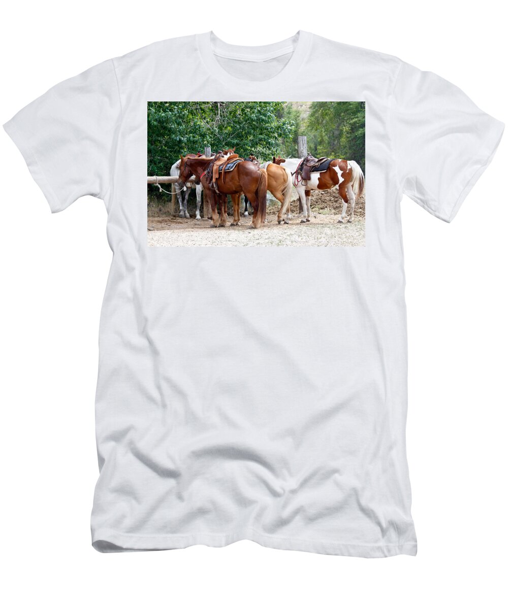 Horses T-Shirt featuring the photograph Saddled by Athena Mckinzie