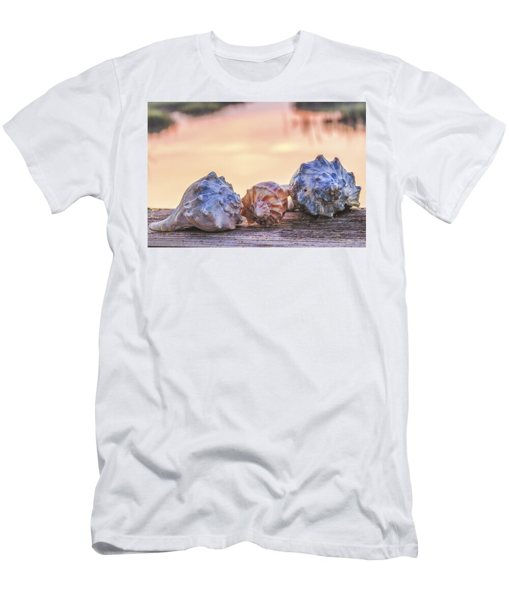 Shell T-Shirt featuring the photograph Sea Shells Image Art by Jo Ann Tomaselli