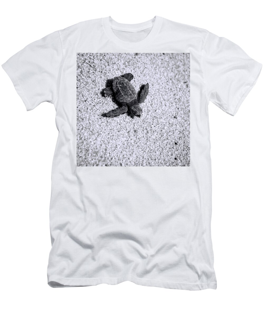 Los Cabos T-Shirt featuring the photograph Sea Turtle in Black and White by Sebastian Musial