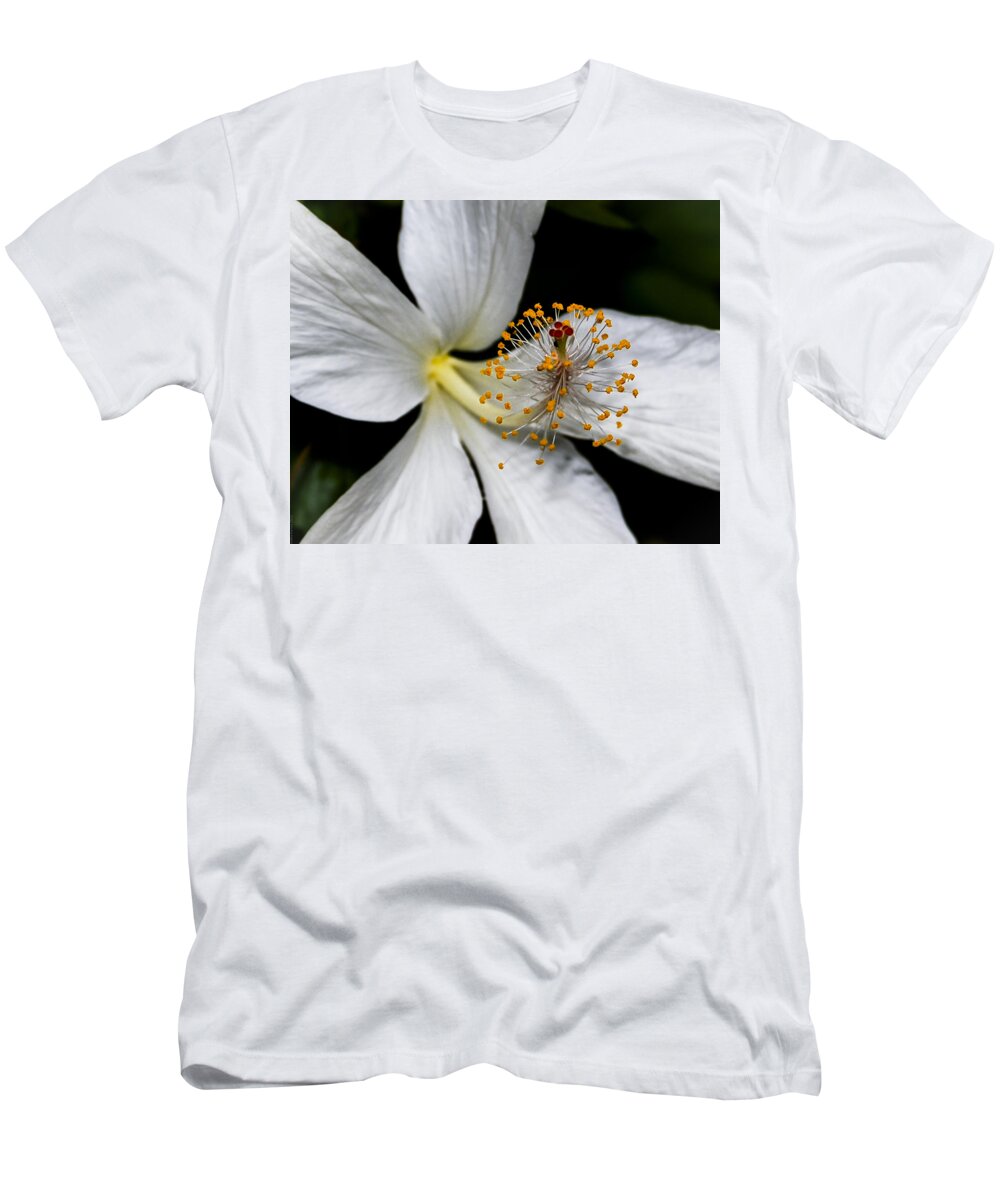 Flower T-Shirt featuring the photograph Season Opener by Debbie Karnes