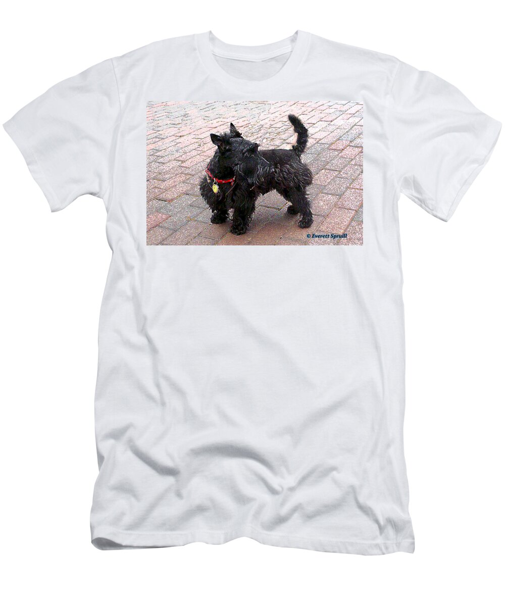 Everett Spruill T-Shirt featuring the photograph Shaggy by Everett Spruill