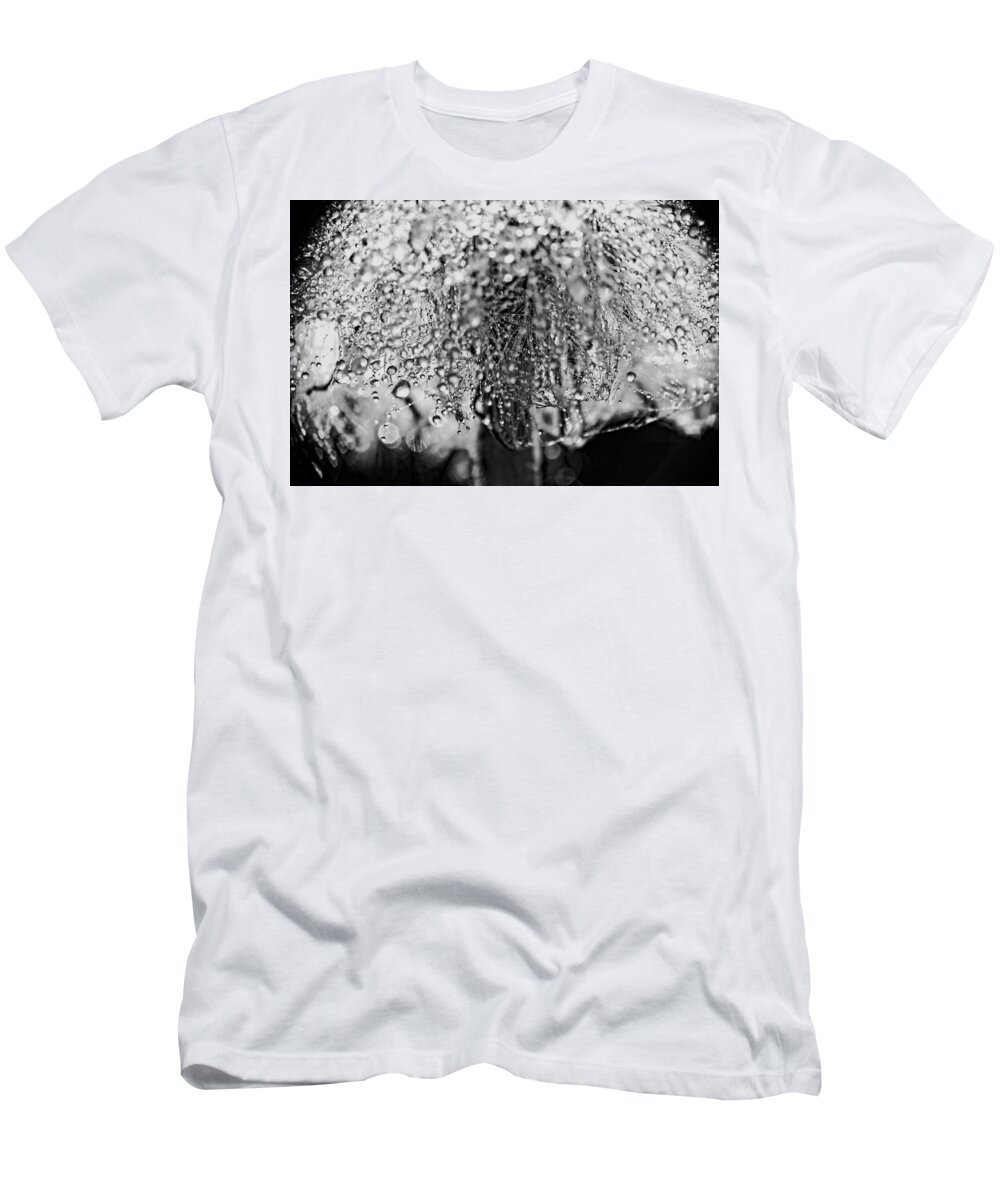 Dandelions T-Shirt featuring the photograph Shower Cap by Peggy Collins