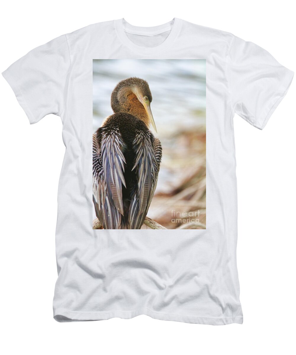 Wildlife T-Shirt featuring the photograph Siesta Pose by Deborah Benoit