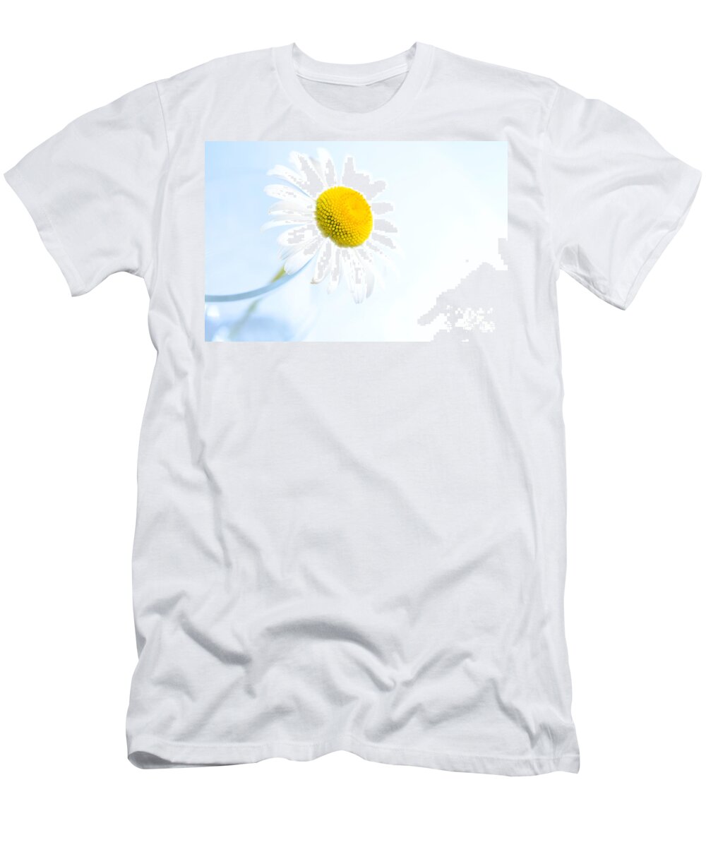 Single T-Shirt featuring the photograph Single Daisy Flower in Vase by Sabine Jacobs