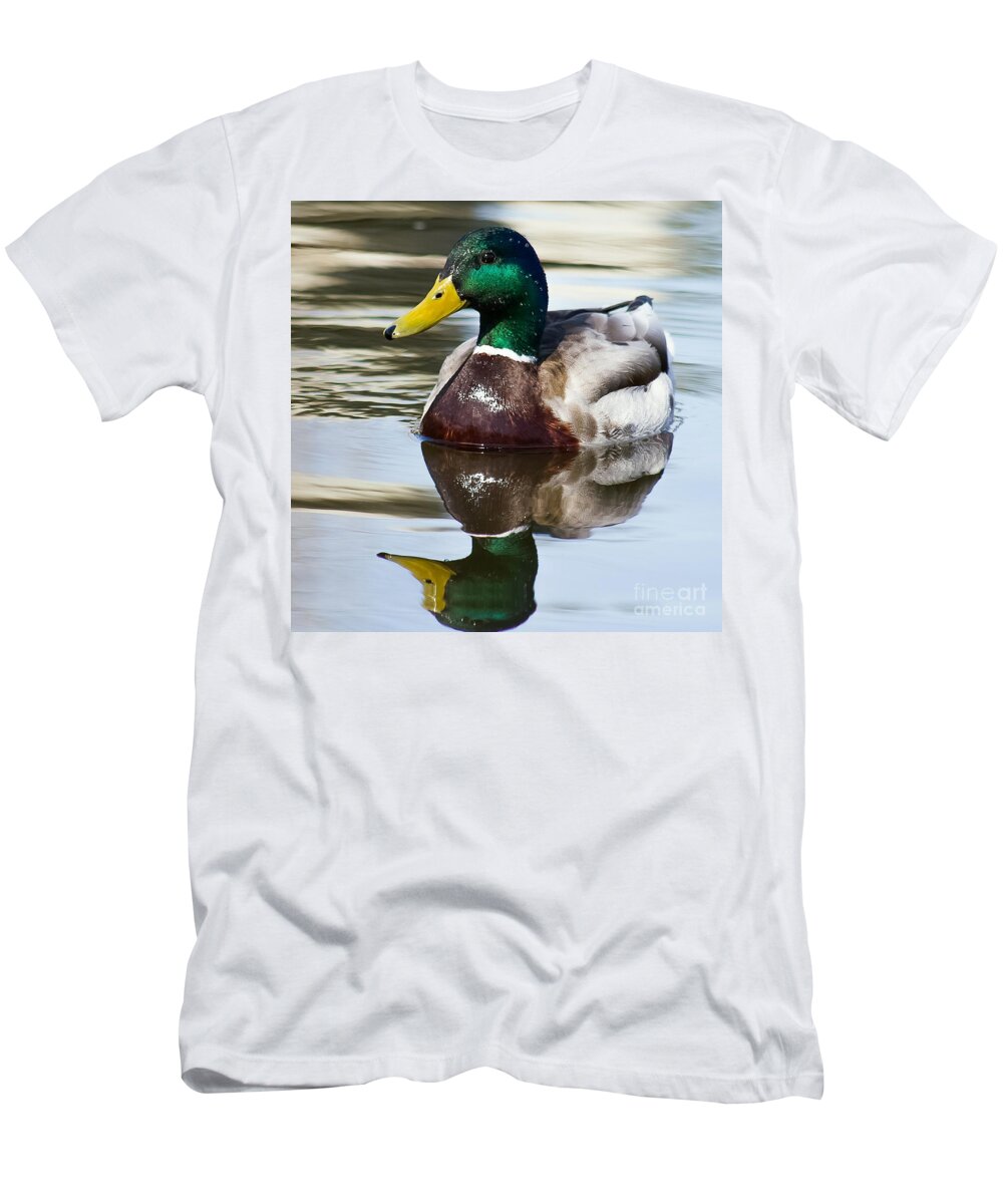 Duck T-Shirt featuring the photograph Sitting Pretty by Nikki Vig