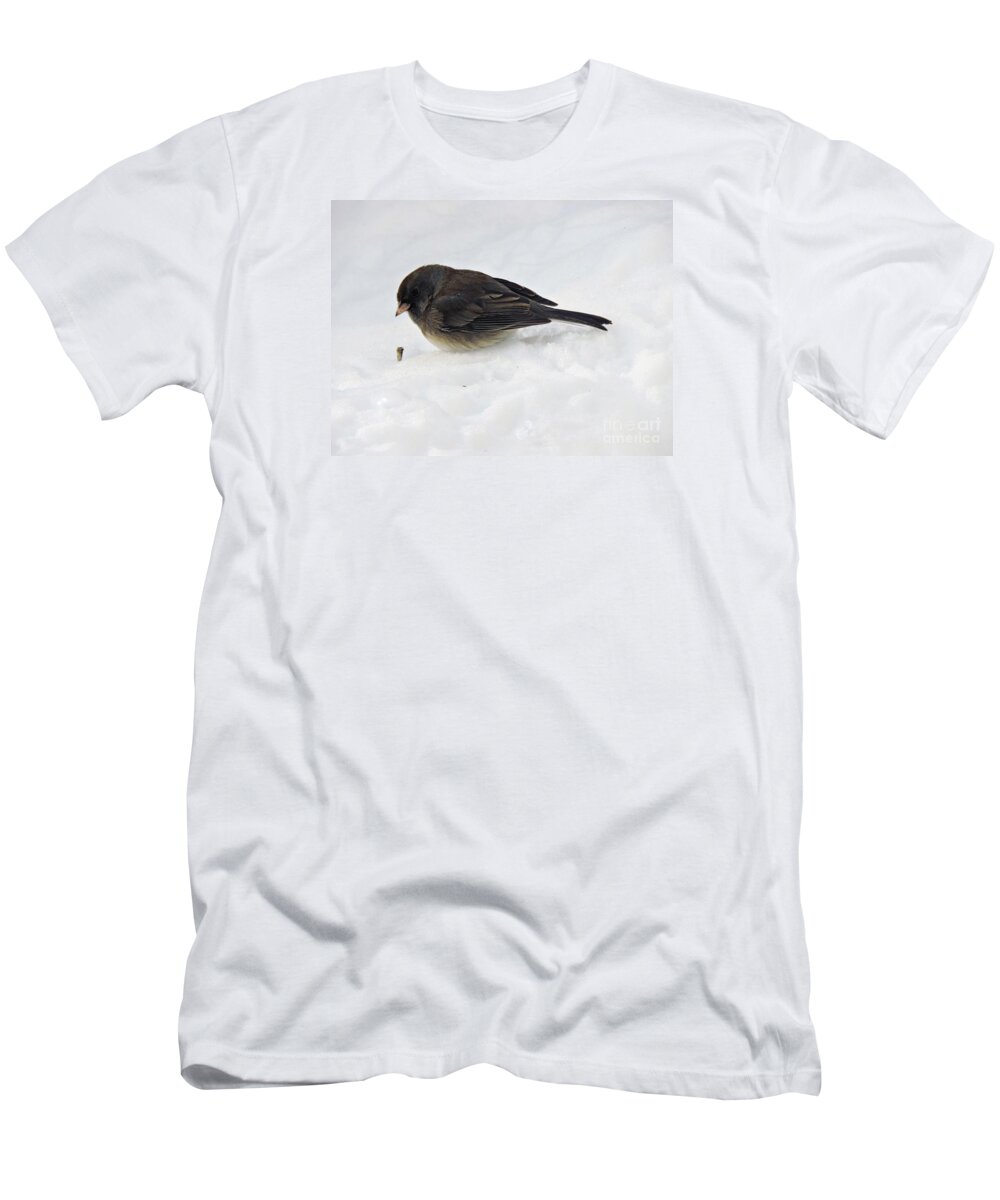 Marcia Lee Jones T-Shirt featuring the photograph Slate-Colored Junco by Marcia Lee Jones