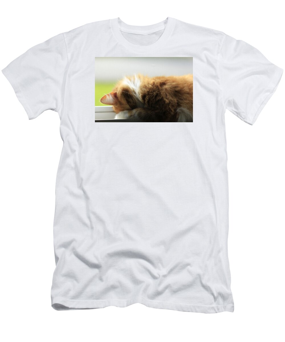 Cat T-Shirt featuring the photograph Maine Coon Kitten Catnap by Valerie Collins