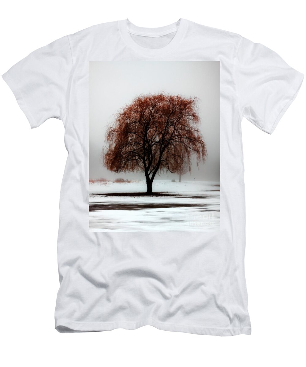 Weeping Willow T-Shirt featuring the photograph Sleeping Willow by Rick Kuperberg Sr