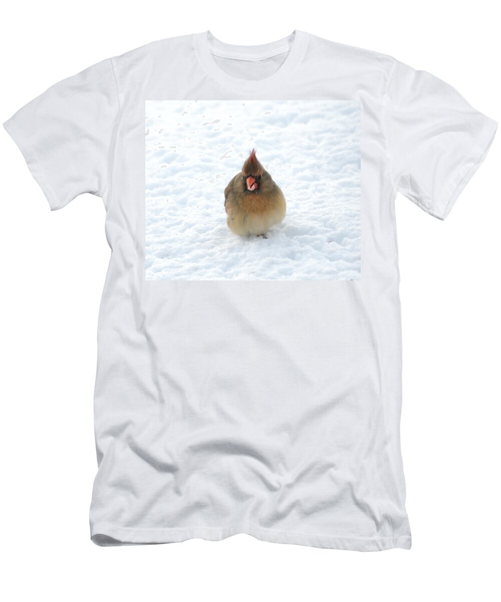 Cardinal T-Shirt featuring the photograph Snow Beard by Holden The Moment