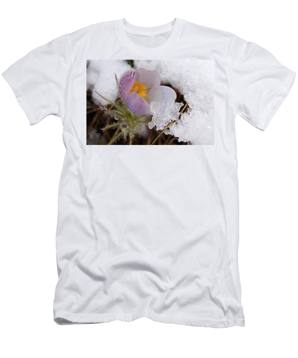 Dakota T-Shirt featuring the photograph Snowy Pasqueflower by Greni Graph