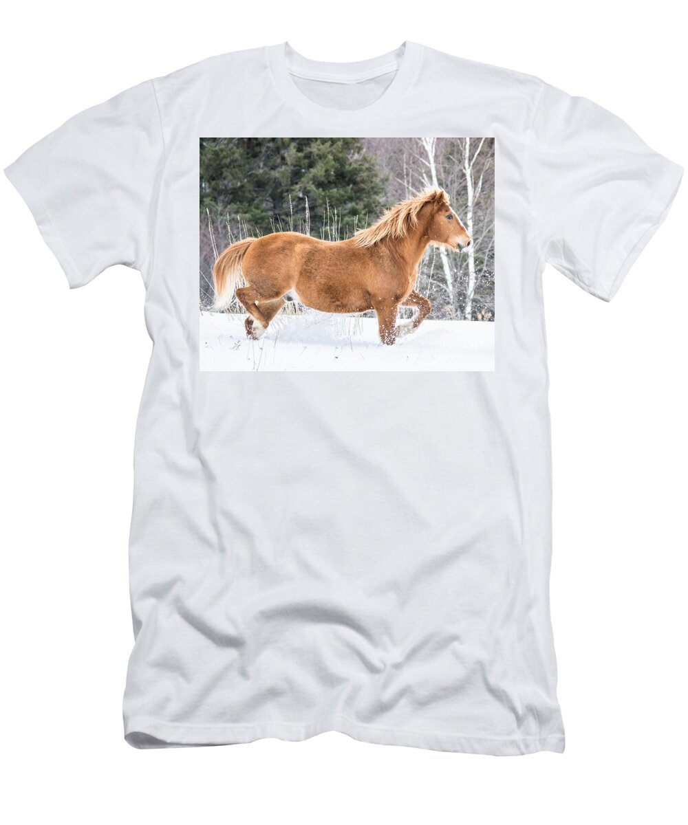 Horse T-Shirt featuring the photograph Snowy Trot by Cheryl Baxter