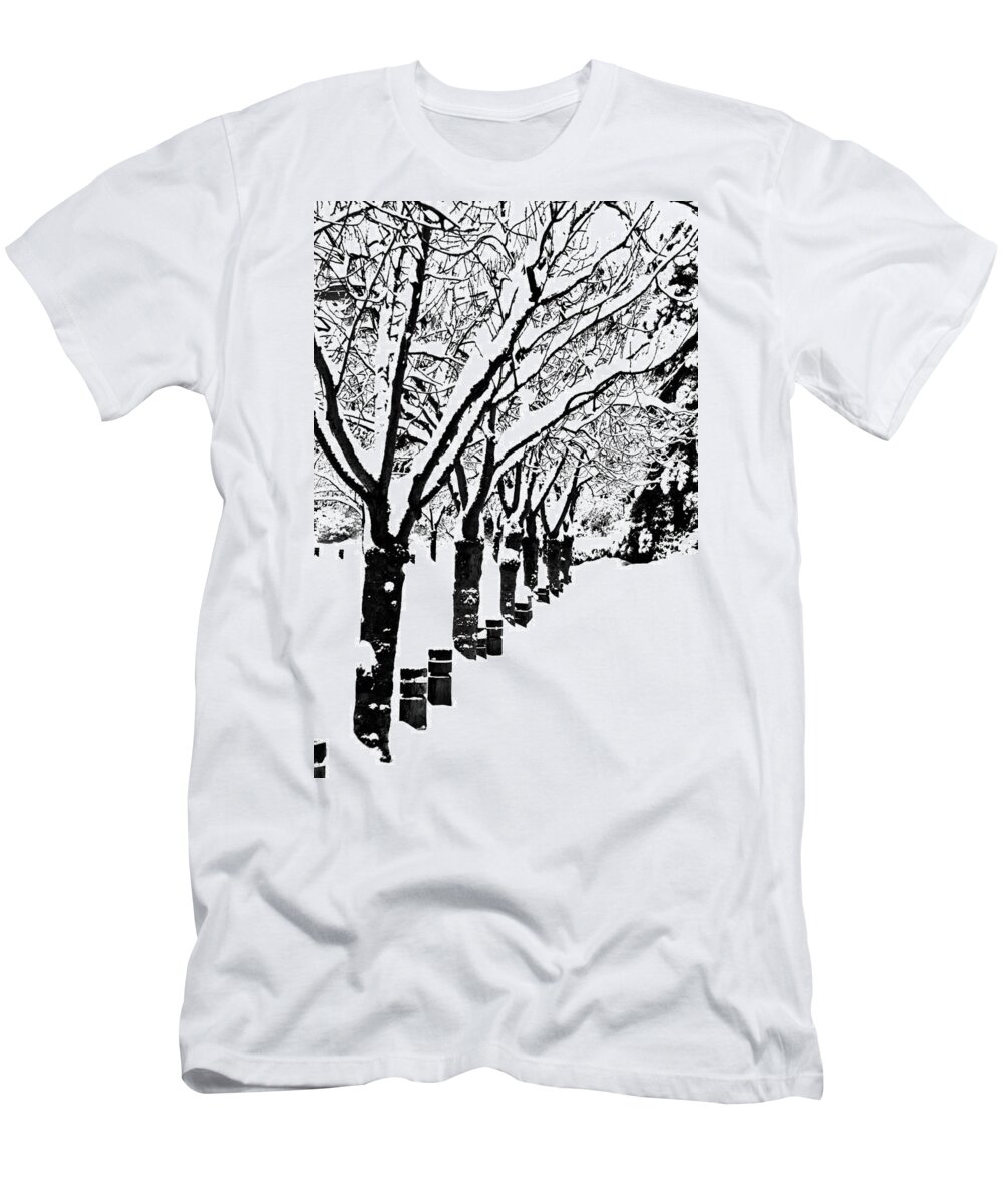 Vancouver T-Shirt featuring the photograph Snowy Walk by Alicia Kent