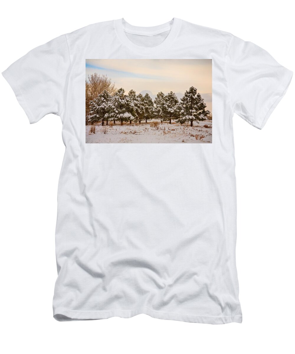 Snow T-Shirt featuring the photograph Snowy Winter Pine Trees by James BO Insogna