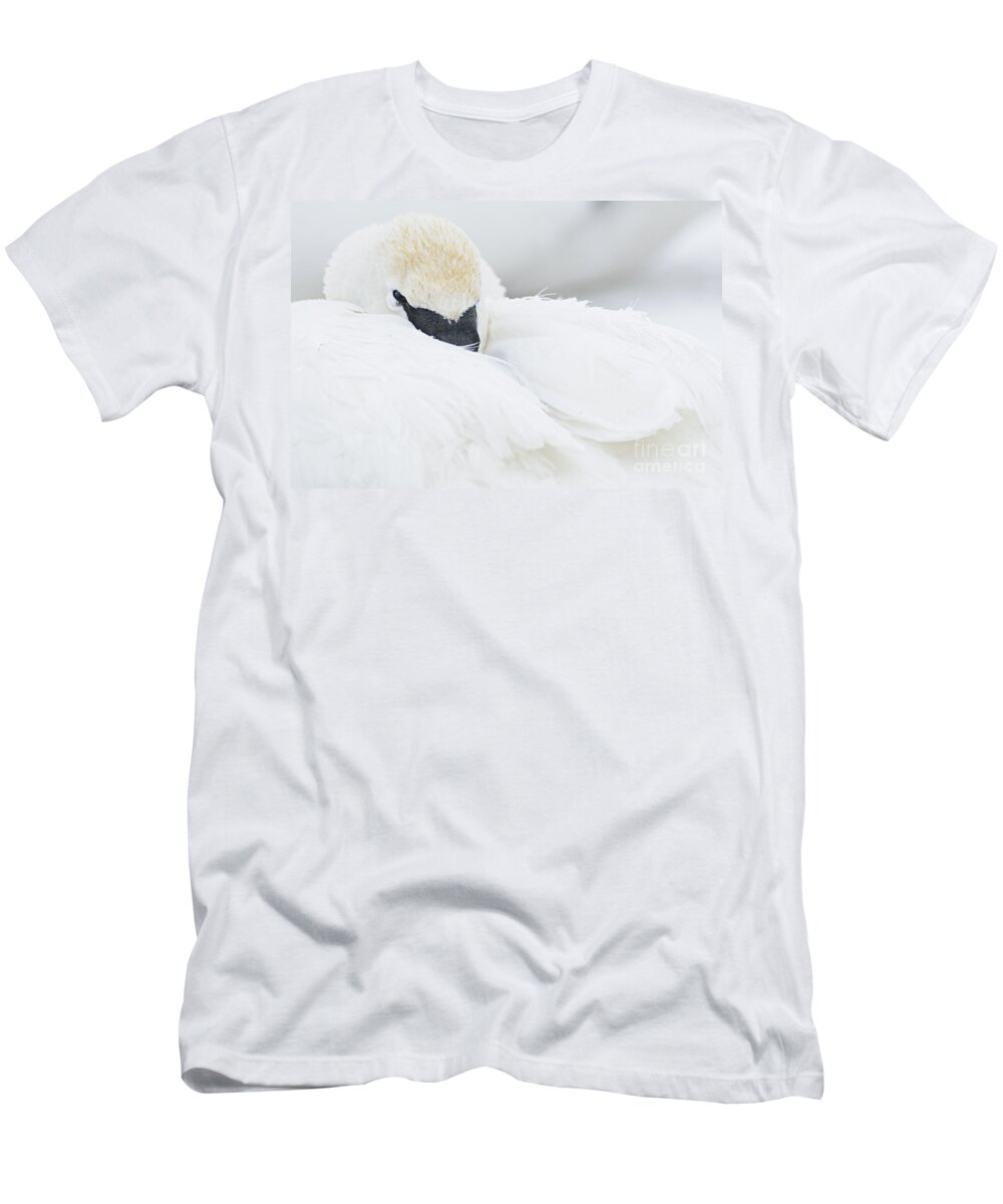 Photography T-Shirt featuring the photograph Soft and Fluffy by Larry Ricker