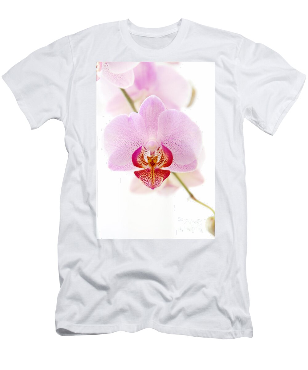 Asia T-Shirt featuring the photograph Soft Orchid by Hannes Cmarits