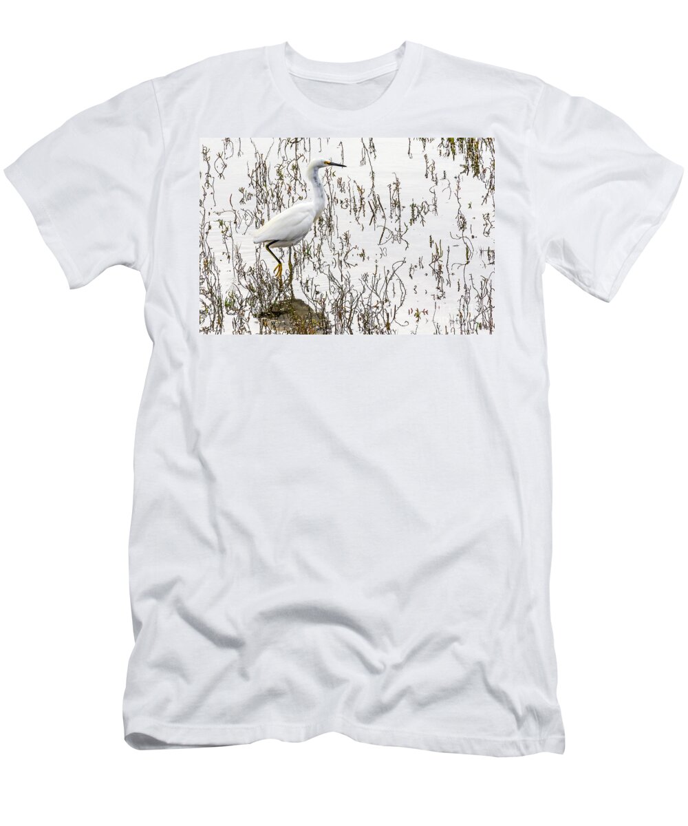 Bird T-Shirt featuring the photograph Solitude by Kate Brown