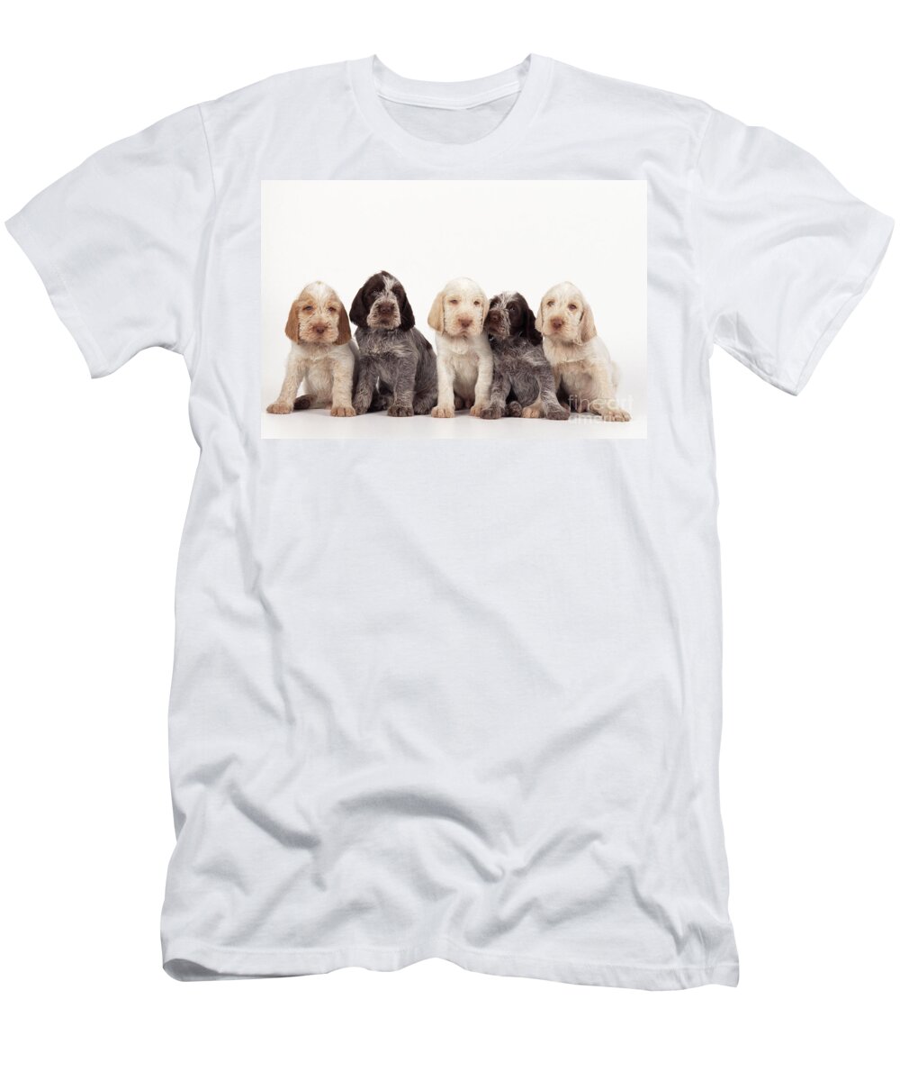 Dog T-Shirt featuring the photograph Spinone Puppy Dogs by John Daniels