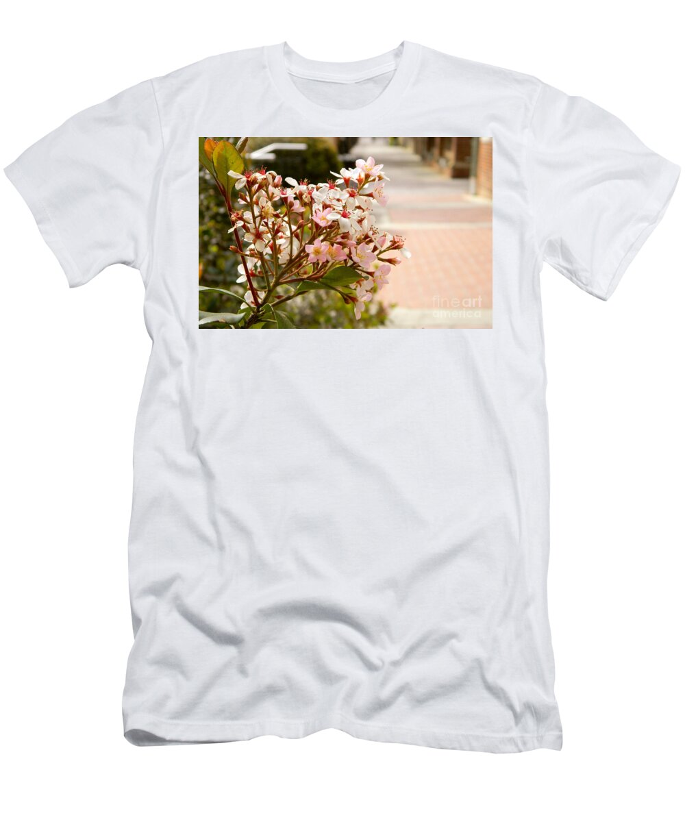 Flower T-Shirt featuring the photograph Spring on the Street by Andrea Anderegg