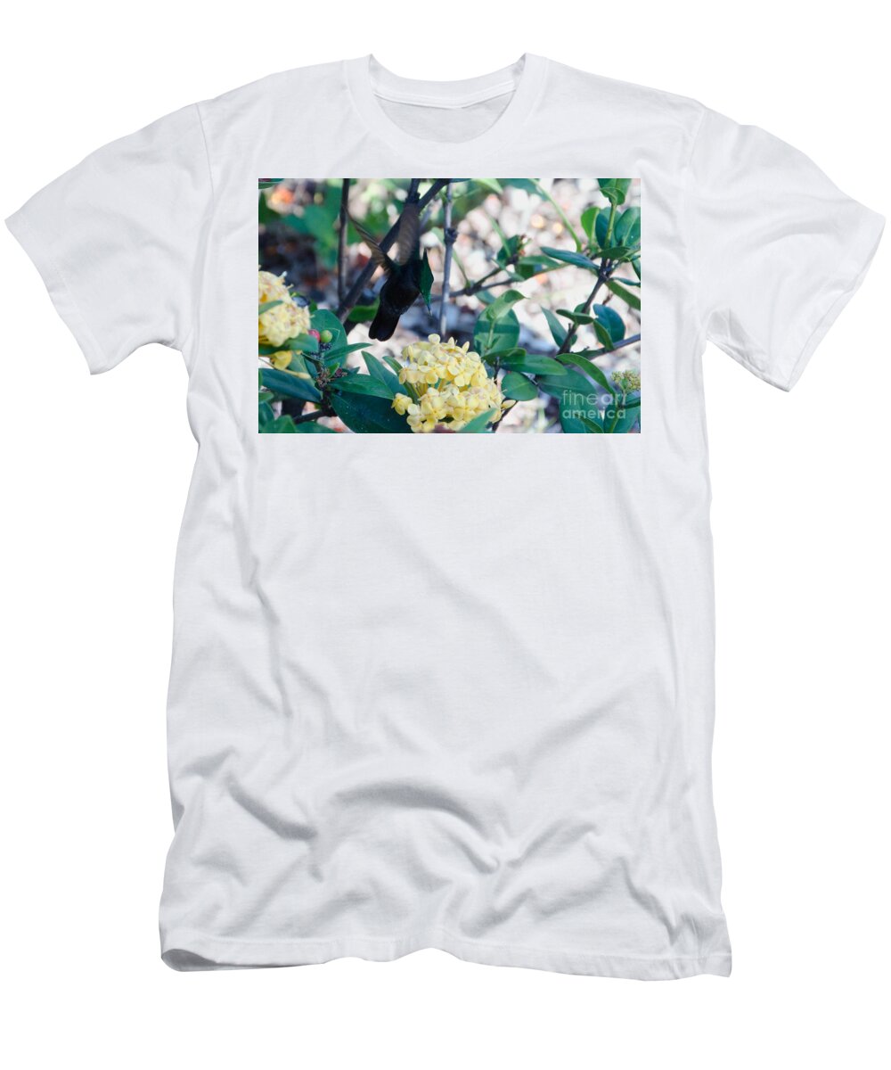 St. Lucia T-Shirt featuring the photograph St. Lucian Hummingbird by Laurel Best