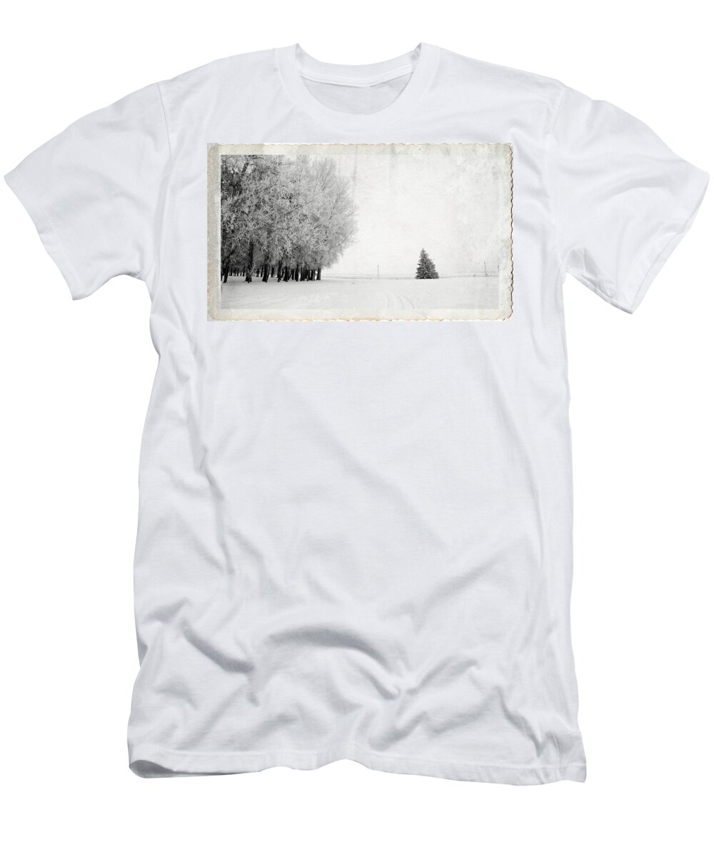 Tree T-Shirt featuring the photograph Stand On Your Own by Sandra Parlow