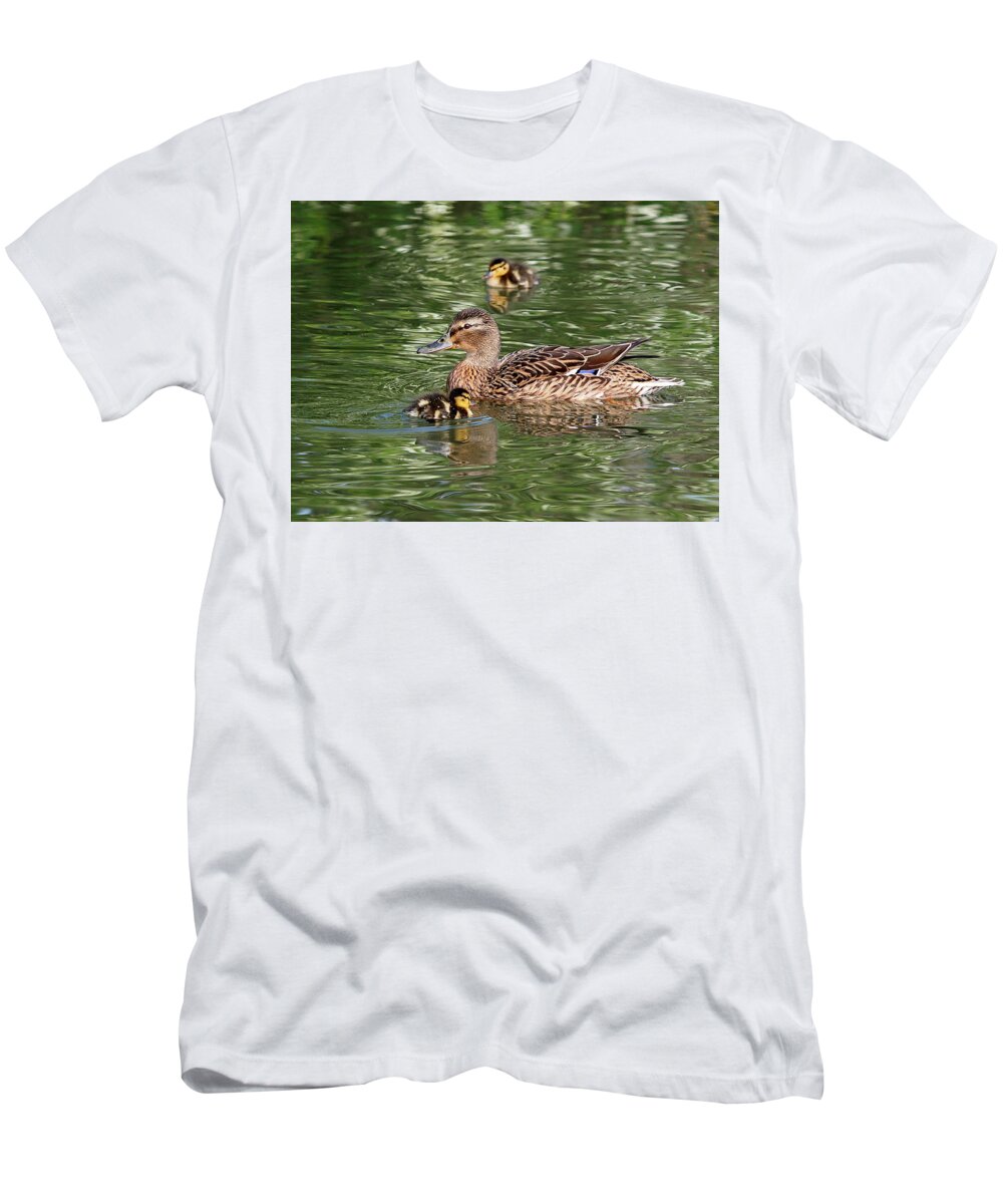 Ducklings T-Shirt featuring the photograph Staying Close To Mom by Gill Billington