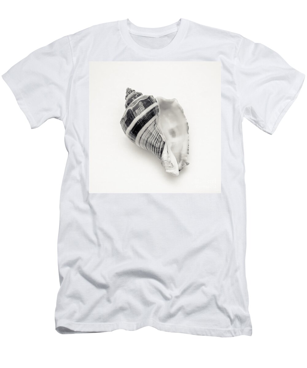 Seashell Photography T-Shirt featuring the photograph Striped Sea Shell 2 by Lucid Mood