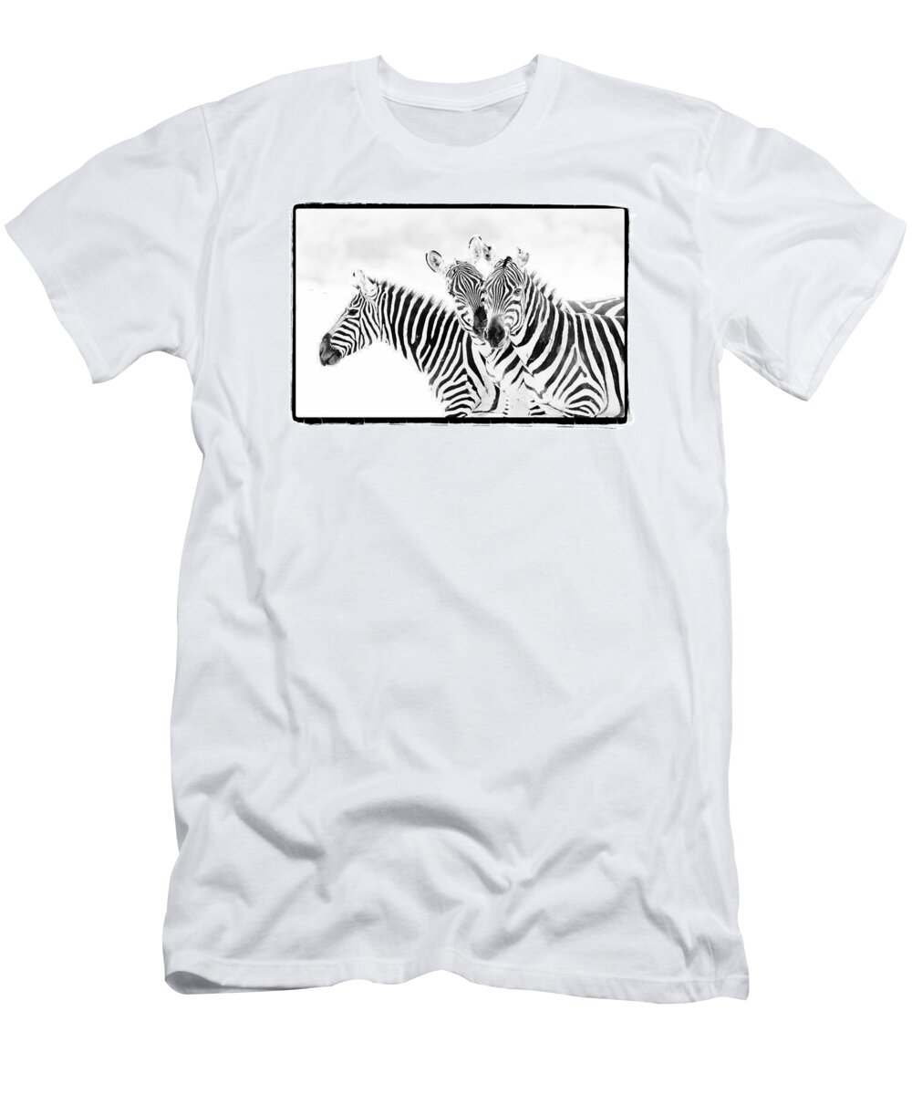 Africa T-Shirt featuring the photograph Striped Threesome by Mike Gaudaur