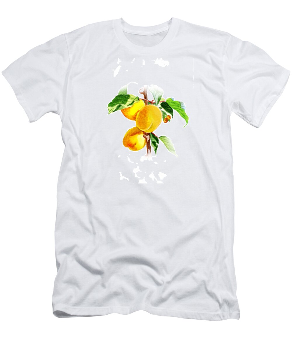 Apricot T-Shirt featuring the painting Sun Kissed Apricots by Irina Sztukowski