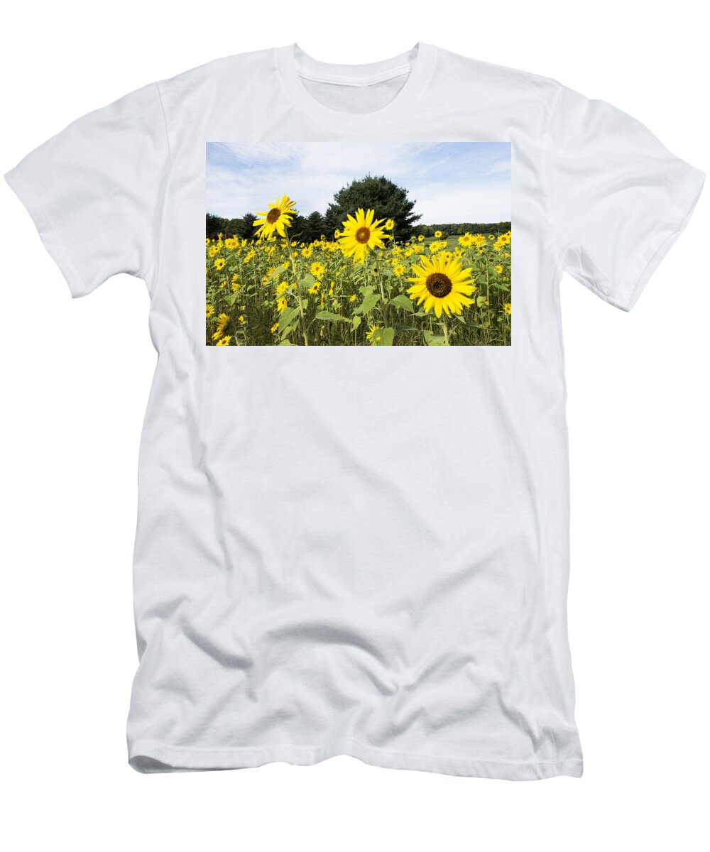 Sunflower T-Shirt featuring the photograph Sunflower Patch by Ray Summers Photography