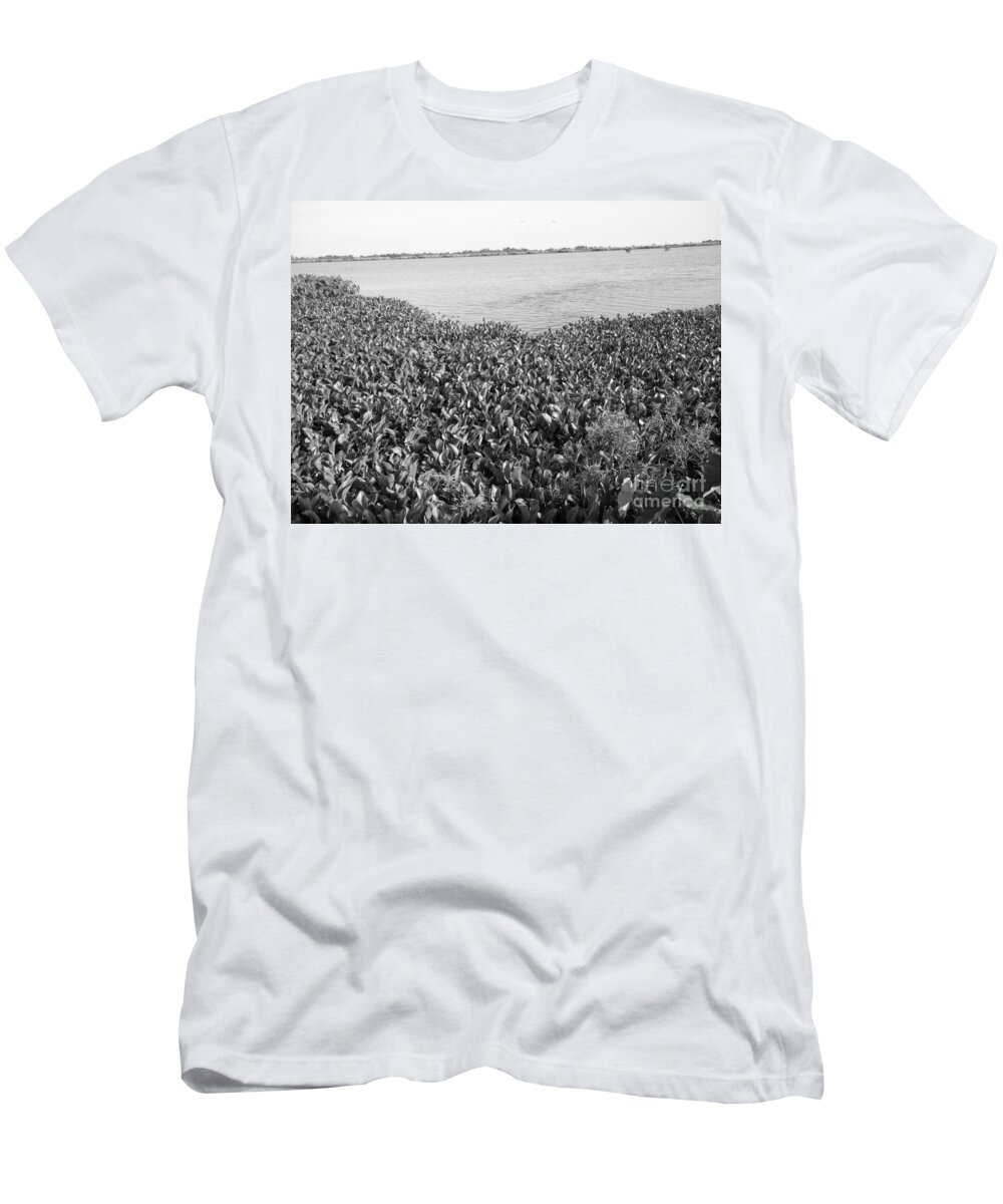 Water Lilly T-Shirt featuring the photograph Swamp Hyacinths Water Lillies Black and White by Joseph Baril