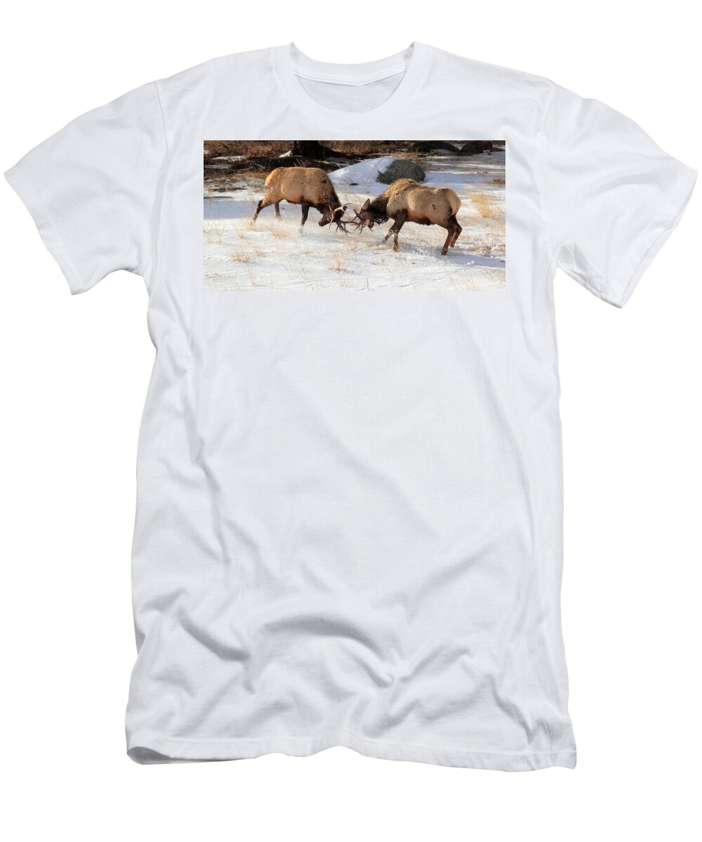 Elk T-Shirt featuring the photograph The Battle by Shane Bechler