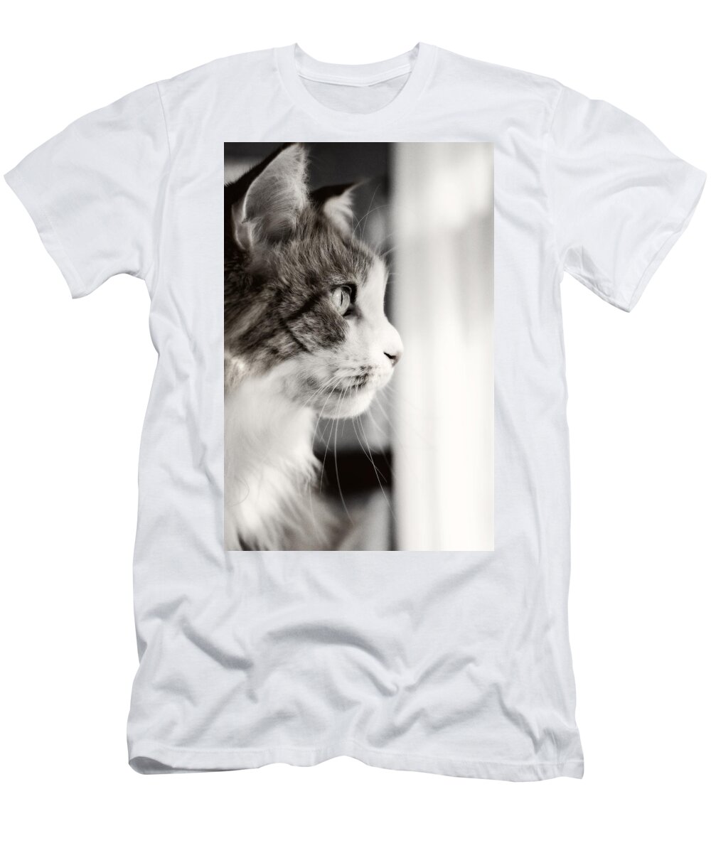 Cat T-Shirt featuring the photograph The Cat's Meow by Donna Doherty