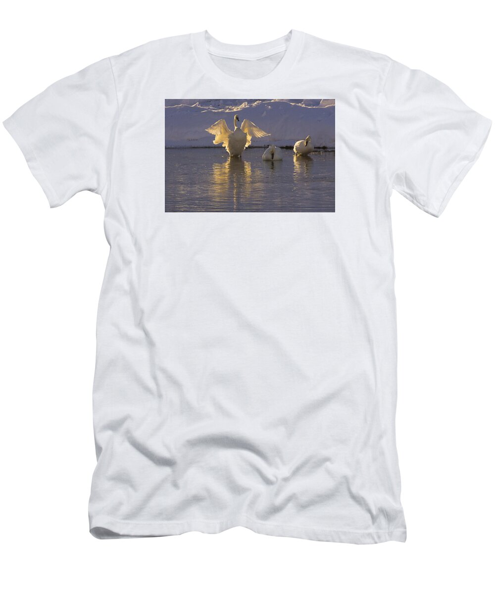 Swans T-Shirt featuring the photograph The Conductor by Priscilla Burgers