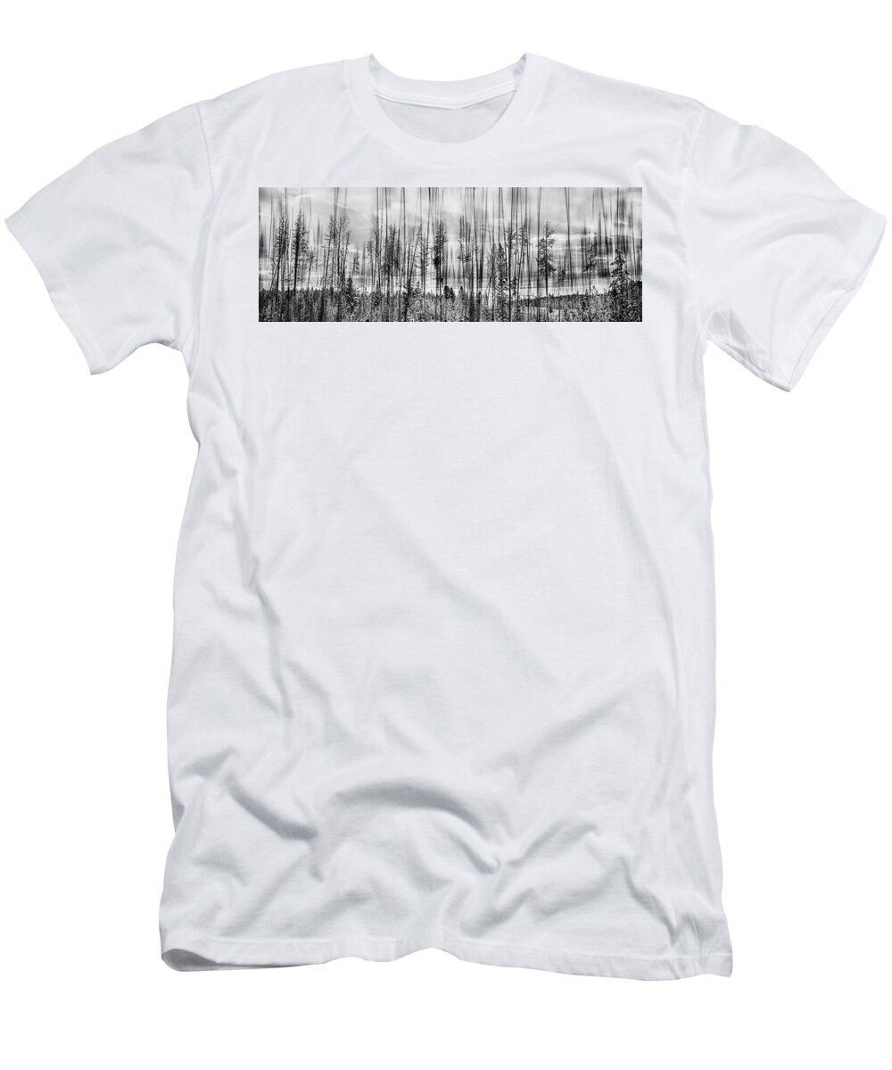 Forest T-Shirt featuring the photograph The Edge Of The Clear-cut by Theresa Tahara