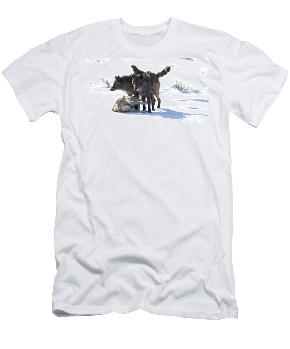 Wolves T-Shirt featuring the photograph The Girls by Deby Dixon