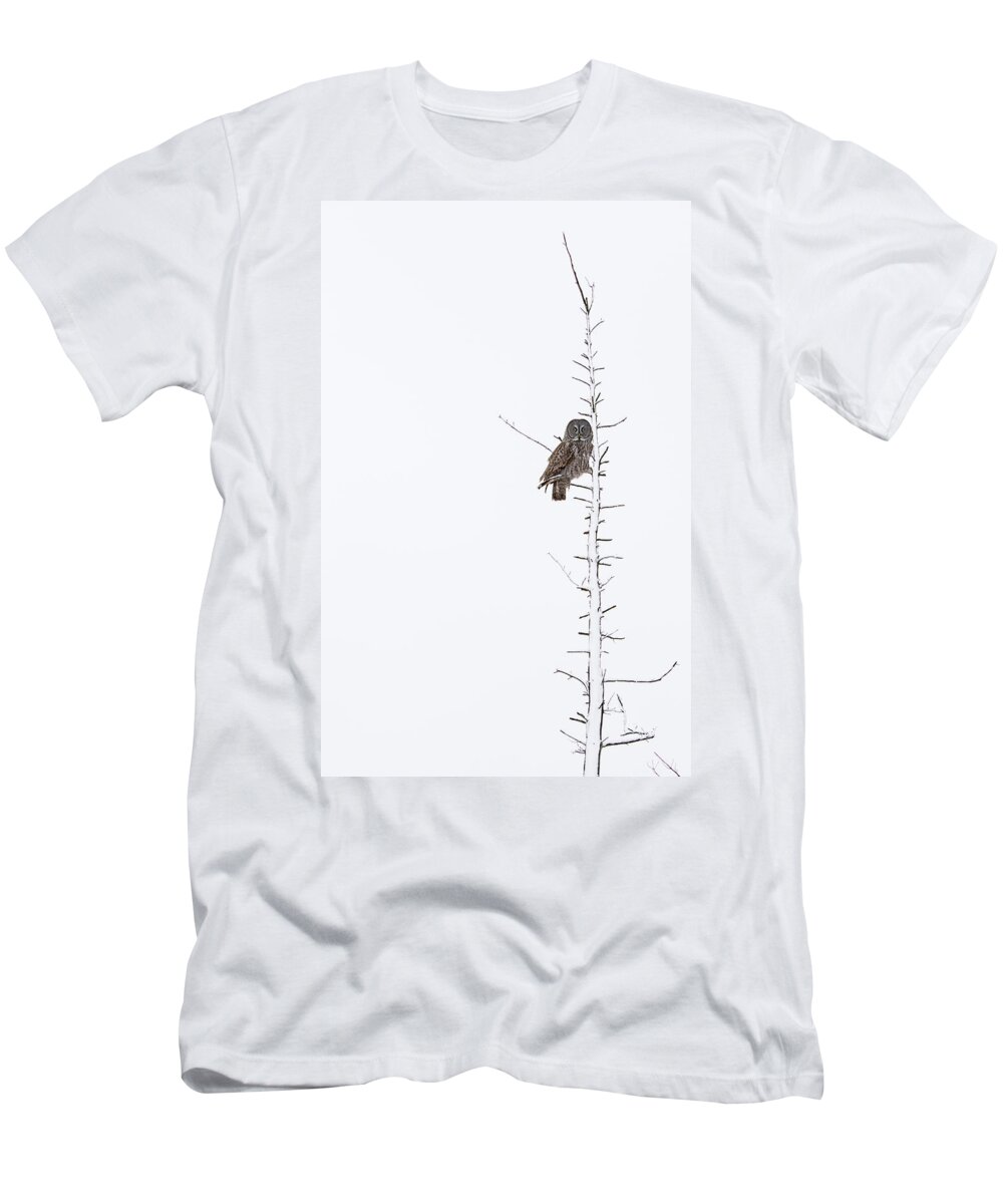 Bird T-Shirt featuring the photograph The Grey Hunter on White by Mircea Costina Photography