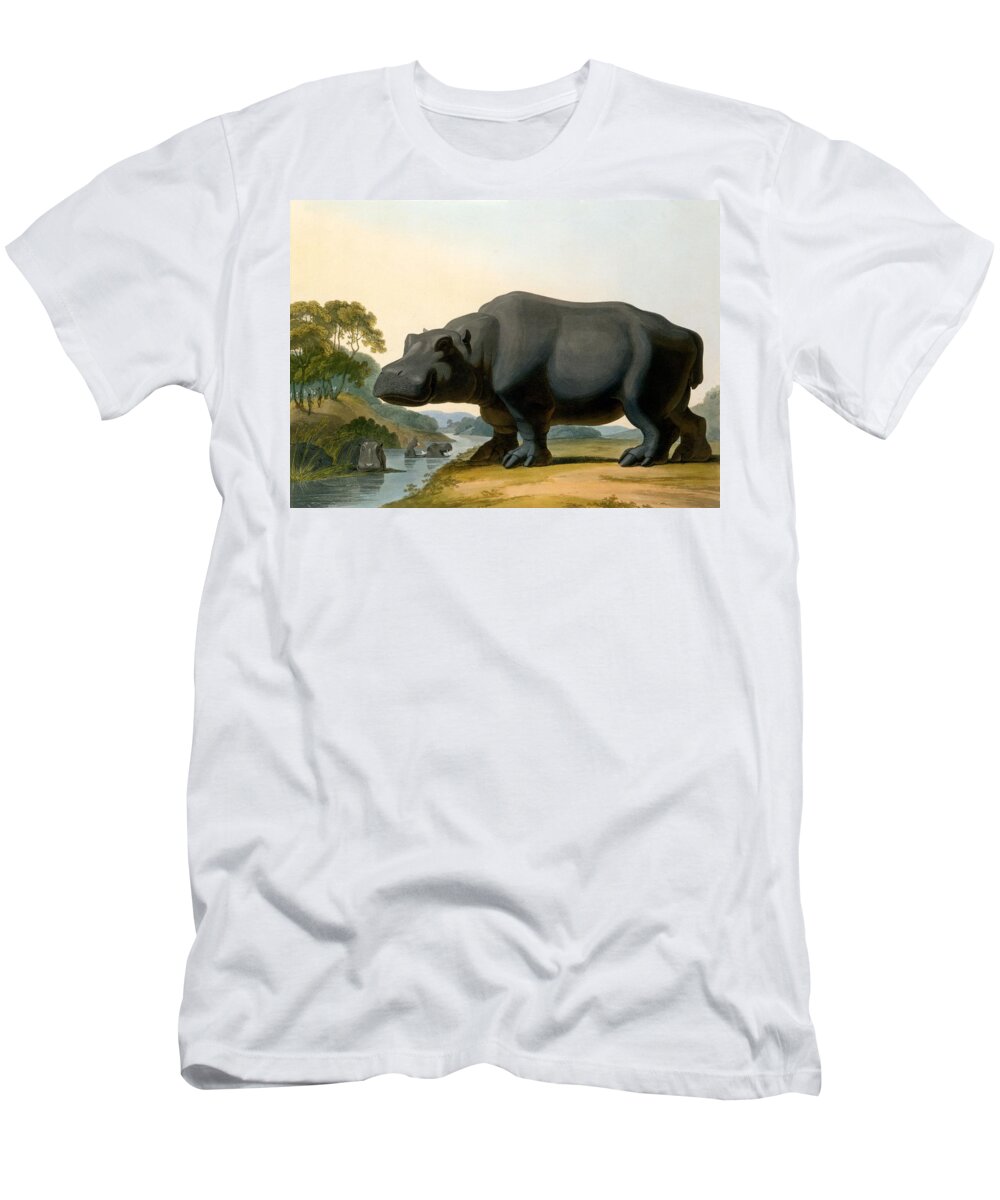 Hippo T-Shirt featuring the painting The Hippopotamus, 1804 by Samuel Daniell