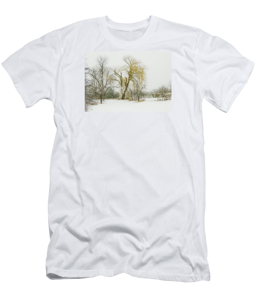 Winter T-Shirt featuring the photograph The Old Shack by John Stuart Webbstock