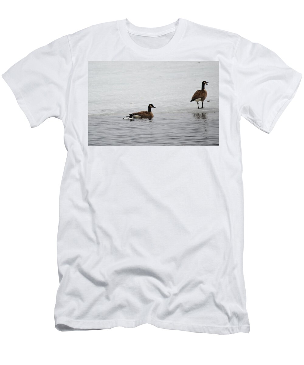 Canadian Goose T-Shirt featuring the photograph The Talker by Linda Kerkau