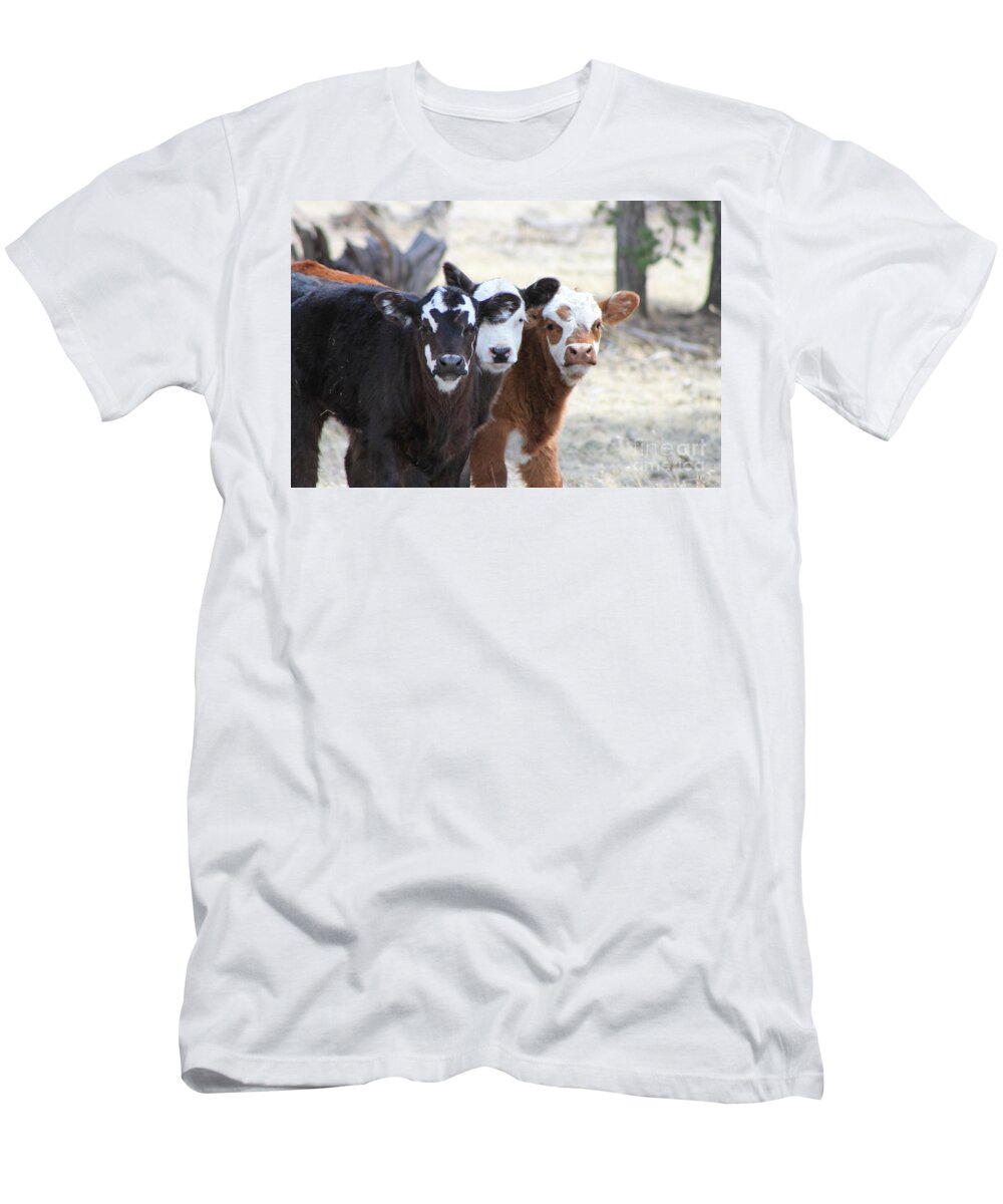 Three Amigos T-Shirt featuring the photograph Three Amigos 1 by Pamela Walrath