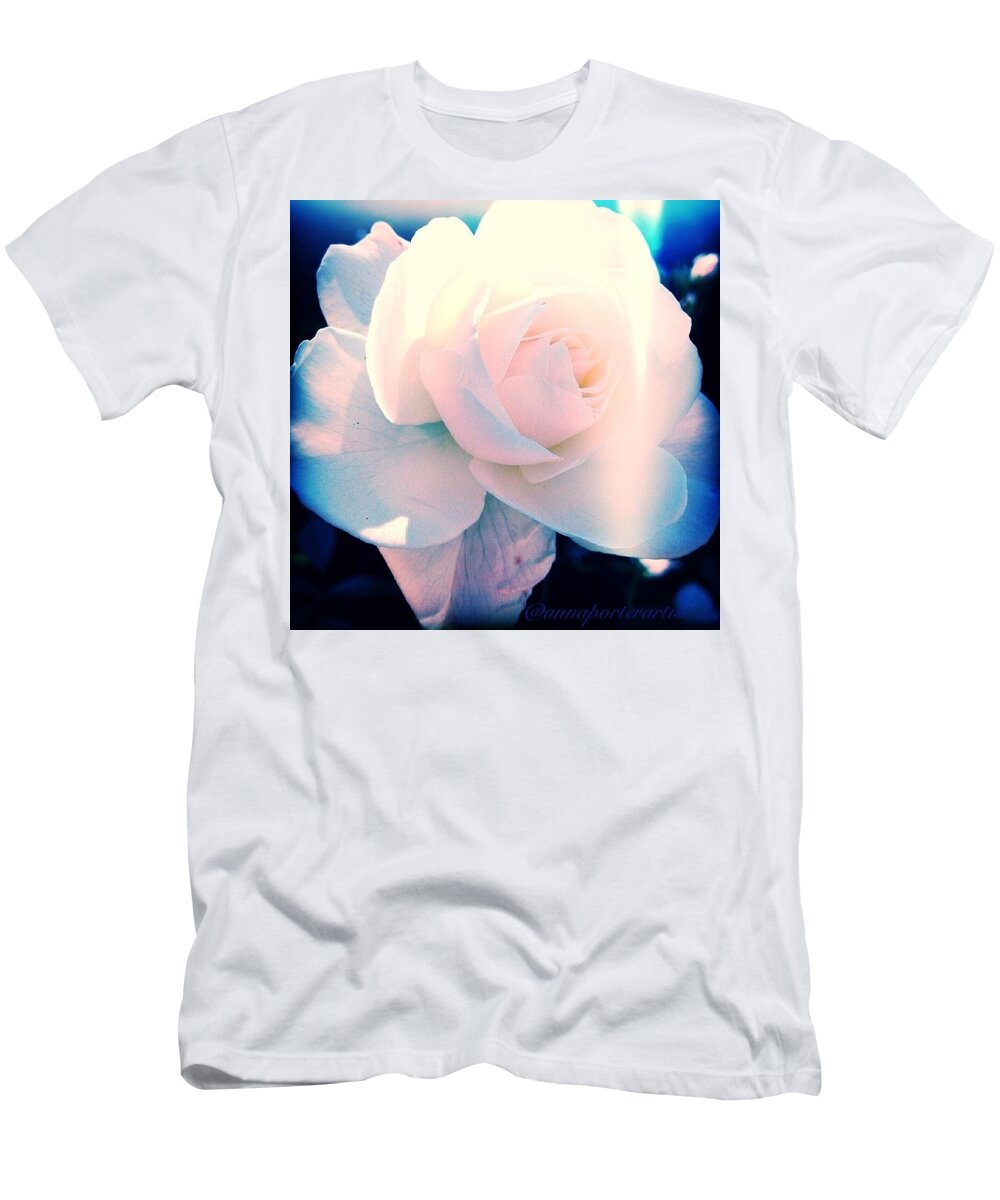 Ig_masterpiece T-Shirt featuring the photograph Translucent Dreams, Edited In Aviary by Anna Porter